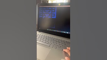 OOP final project- Pac-Man working no collisions