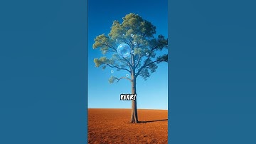 What if I told you, there