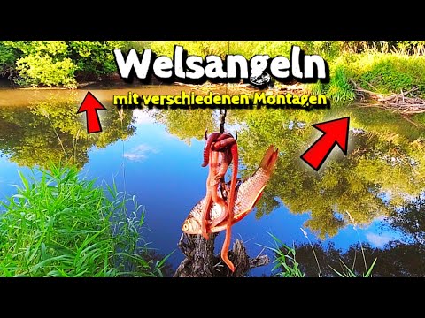 Fishing for catfish with different rigs