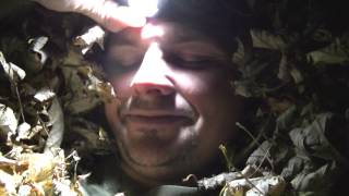 leaf shelter test