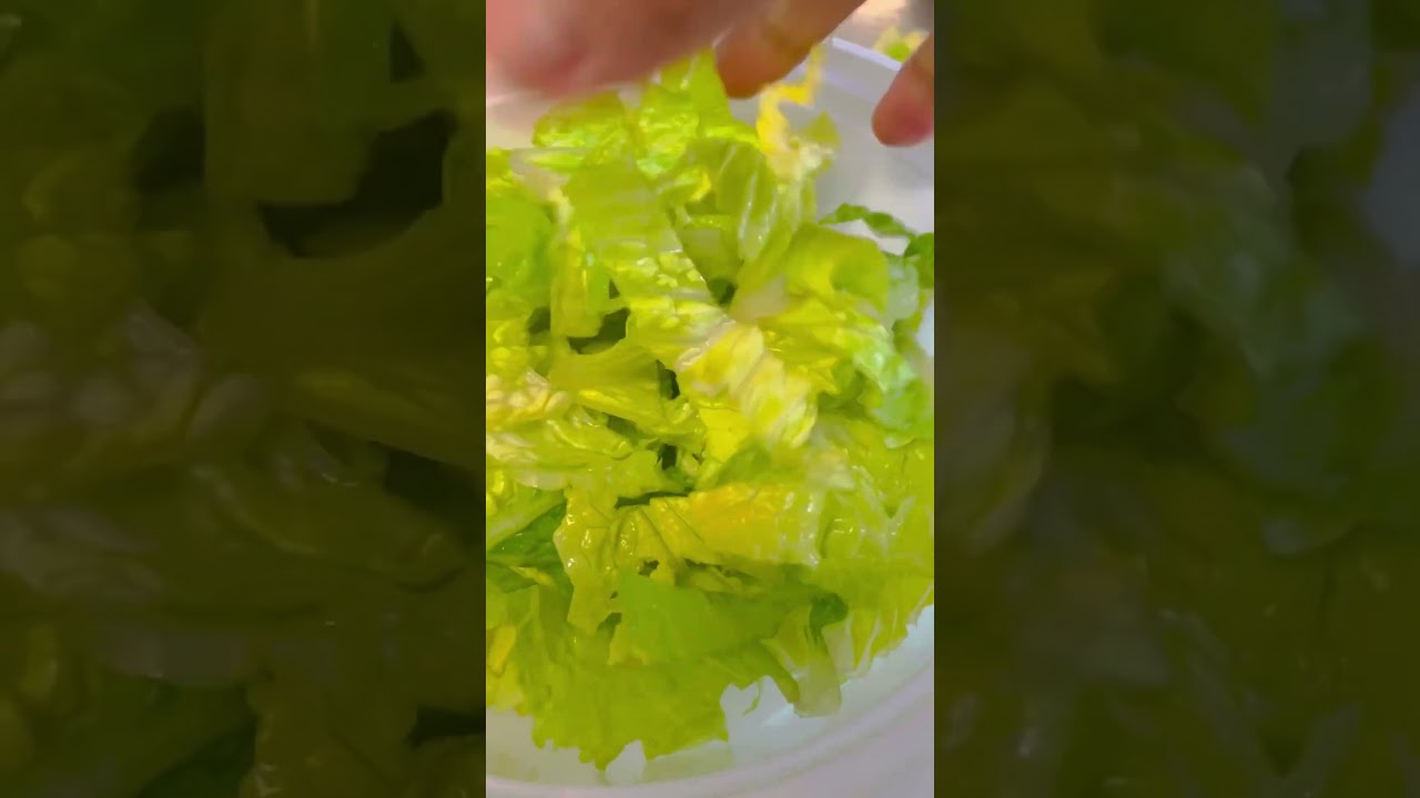 Fresh Green and Crisp Salad  