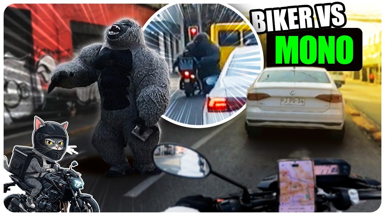 [MONO vs BIKER] 🐒🏍️ #chile #motovlog #ubereats ENTREGANDO PEDIDOS HASTA COMPRARME UNA KAWASAKI Z900💚