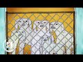 Ghost dogs  trippy awardwinning sundance animated horror short film
