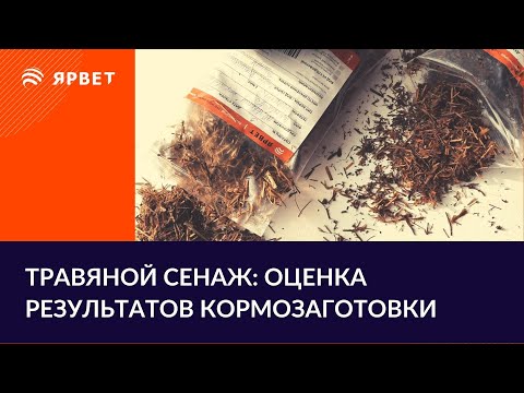 Оценка заготовки сенажа по анализам. Как читать анализ кормов?