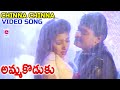 CHINNA CHINNA | VIDEO SONG | AMMA KODUKU | RAJASHEKAR | AAMANI | SUKANYA | TELUGU CINEMA ZONE