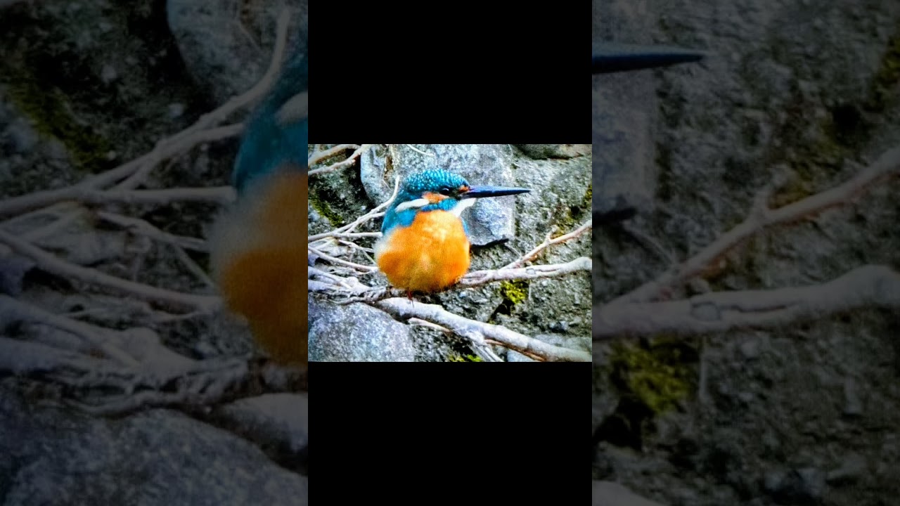 今日は倉庫内軽作業です。7h  頑張ります。眼鏡早く出来ると良いのですが。ところで、強盗などの犯罪が増えていますが、これは指導者有名人が法律を尊重しない人が増えているからです。