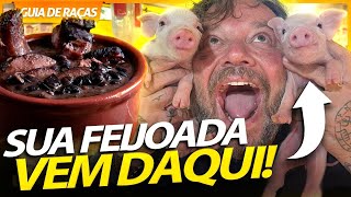 O NASCIMENTO DOS LEITÕES QUE DÃO ORIGEM A SUA FEIJOADA! | RICHARD RASMUSSEN