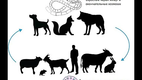 Ценуроз