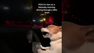 average truck drivers