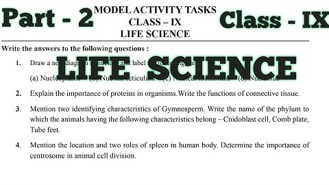 Class 9 | Life Science | Part 2 | Model Activity Task | @A2RClasses