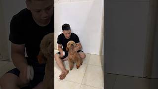 Gạo mới ngủ dậy cả nhà ạ