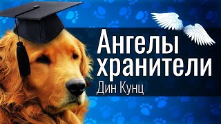 🙄 И это лучшая книга?! Ангелы-хранители - Дин Кунц / Наблюдатели