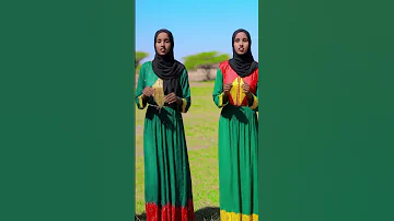 Hees Cusub 2025 Dhaanto Somalicommunity Ciyaalxamar 