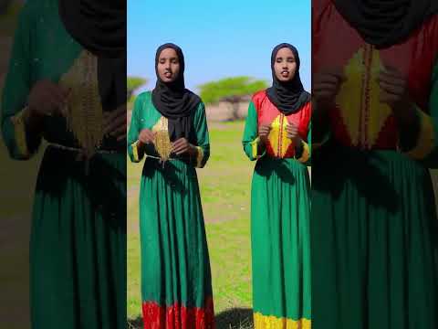 Hees Cusub 2025 Dhaanto Somalicommunity Ciyaalxamar