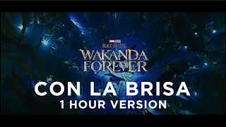 Con La Brisa | Talokan Underwater Scene | Black Panther Wakanda Forever 1 Hour Music