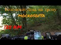 Велопокатушка выходного дня: Харьков - Змиёв - Гомольшанский лес и тропа мокрософта на велосипеде