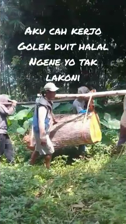 Aku Cah Kerjo #cahkerjo #kayu #suyonosomban
