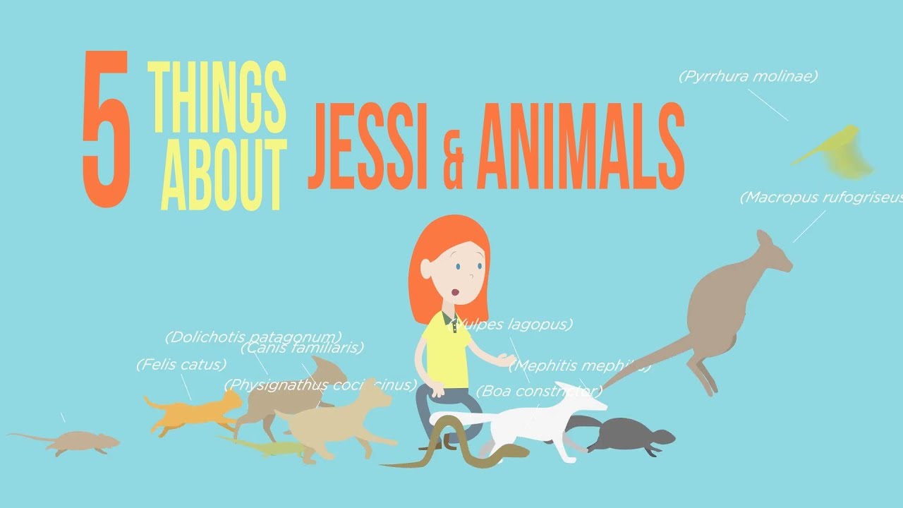 wondershare uniconverter 5 Things About Jessi and Animals