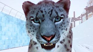 Making a Snow Leopard Breeding Habitat in Planet Zoo