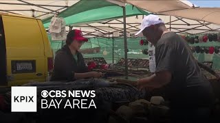 Some vendors continue selling goods despite closure of Berkeley flea market