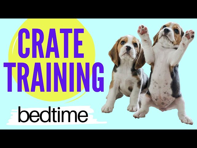 robert cabral crate training