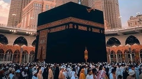 من صلاة العشاء ماتيسر من سورة الحجر / محمد السامرائي