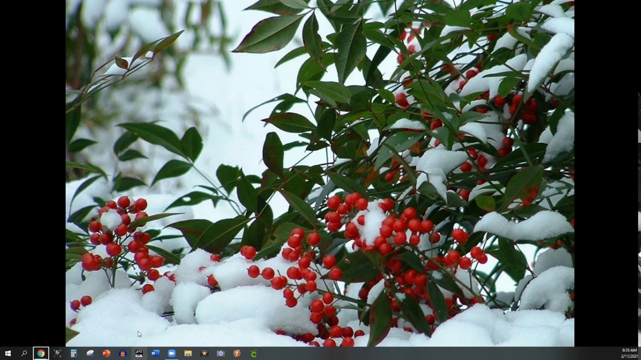 Note Recognition Game (answer in chat)