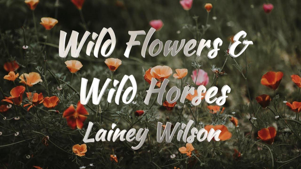 Hailey Wilson Wildflowers And Wild Horses (KARAOKE VERSION) YouTube