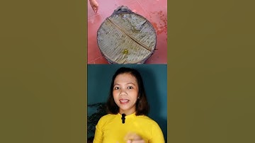 Bạn đoán thử nhé! #short #shorts #dovui #maithao