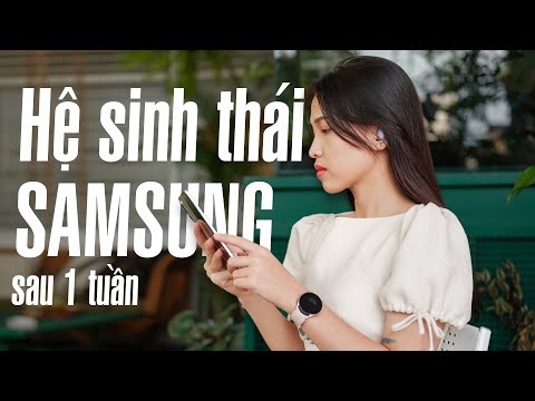 Video: Cầu Thang Sinh Thái Tinh Tế