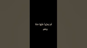 #صلوا_علي_سيدنا_محمدﷺ  #اكتب_شي_تؤجر_عليه  #تلاوات  #قرآن  #quran