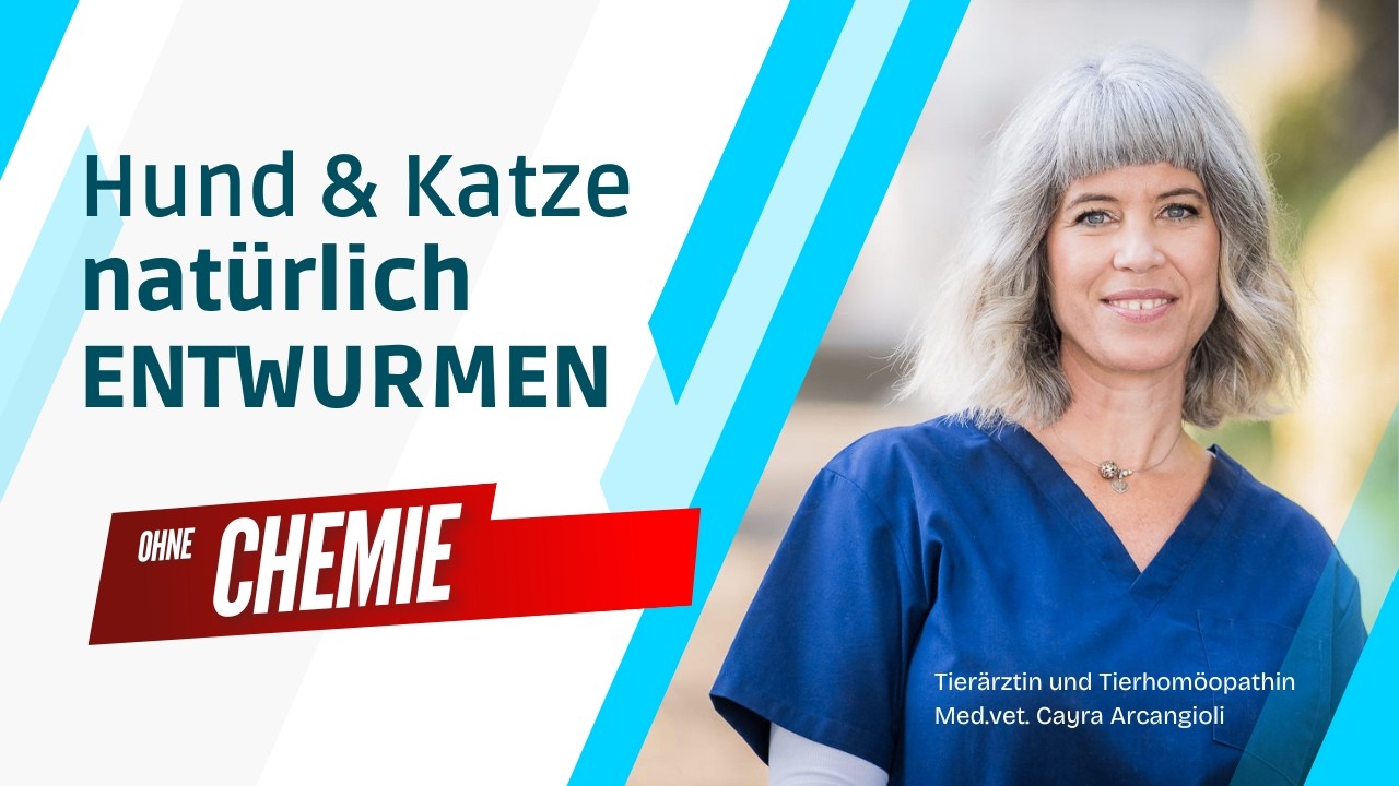🐕🐈 Natürliche Entwurmung beim Haustier - ohne CHEMIE // Ganzheitliche Tiergesundheit
