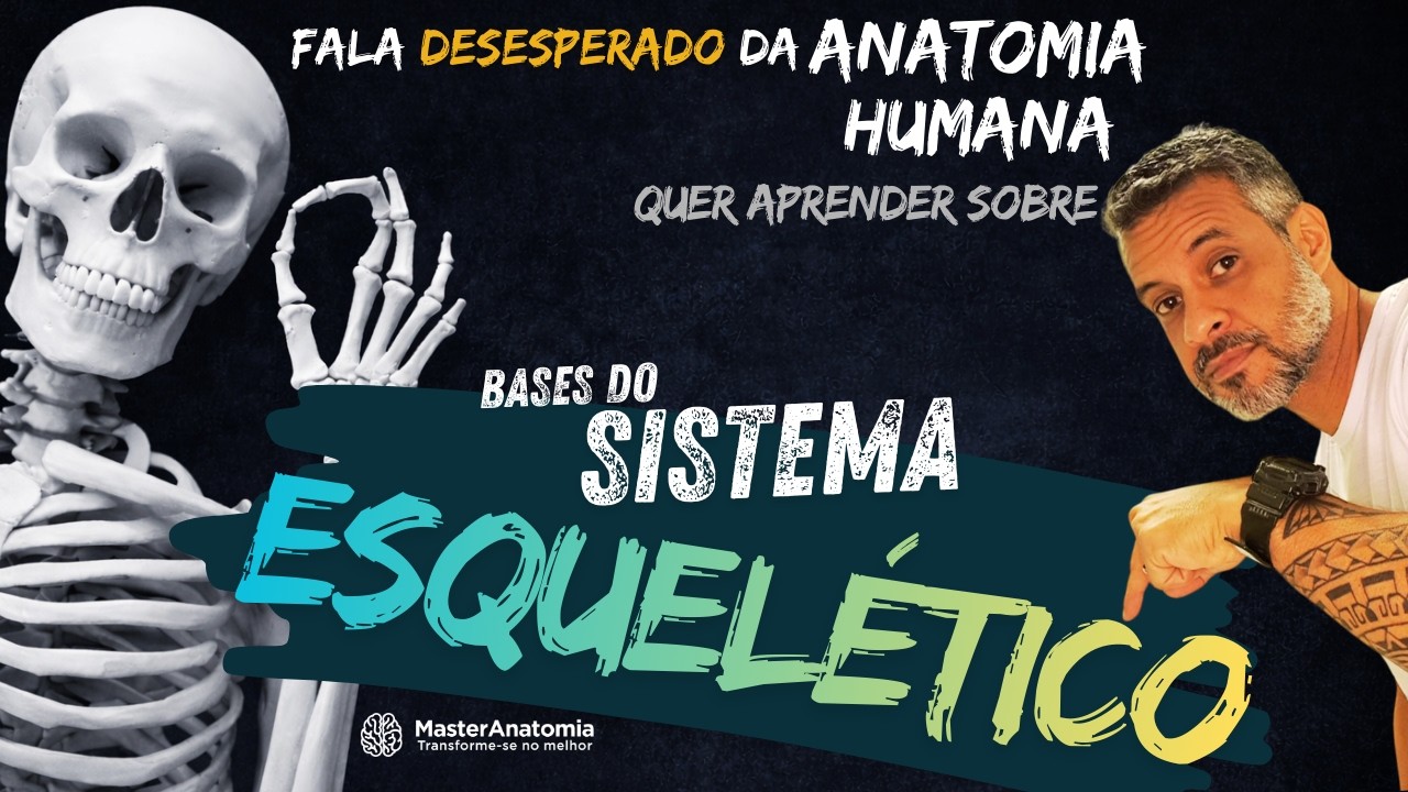 Aula 8   Sistema Esquelético