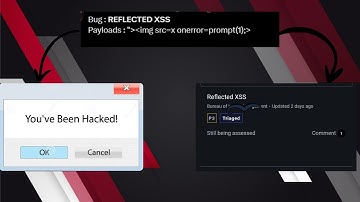 Caido Labs - Reflected XSS