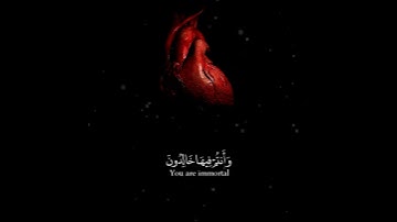 ارح سمعك وقلبك.. تلاوة تخشع لها القلوب للشيخ عبدالله الموسى..💜