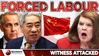 Liberal Michael Ma ATTACKS Witness After She Condemns Forced Labour in China