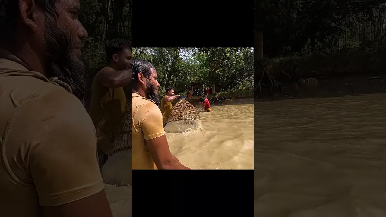 Amazing Rural Fishing Video 🐟 Best Asian Fishing Technique #shorts #asia #india #usa #bangla #yt #bd