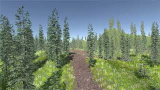 Unity 3DTerrain Project I Coniferous Forest
