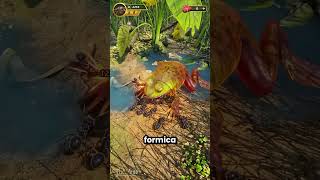 Questa formica regina sta creando un esercito 😱🐜