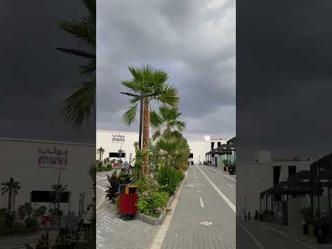 السيتي ووك بهالأجواء يفتح النفس