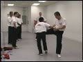 Looseness and Flow in Kumite - Arms, Legs and Kicking - Master Su Dong Chen