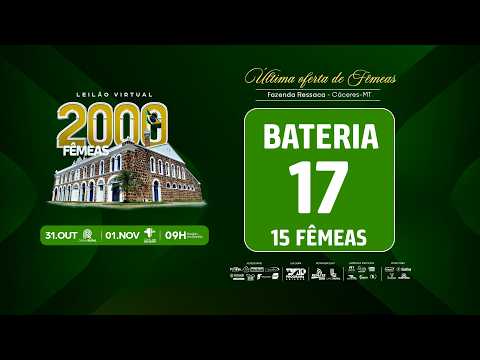 BATERIA 17