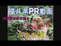 福井県PR動画 ローカルスポット 大虫の滝 #47