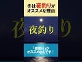 【冬に釣れない人必見】冬は「夜釣り」が釣れやすい理由