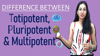 Difference Between Totipotent, Pluripotent and Multipotent I NEET GATE CSIRNET IITJAM DBT ICAR ICMR