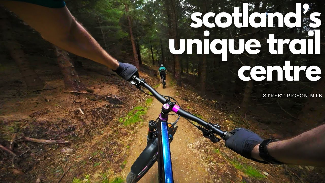Scotland's Million Pound Trail Centre 1 Year Later... Still Great?