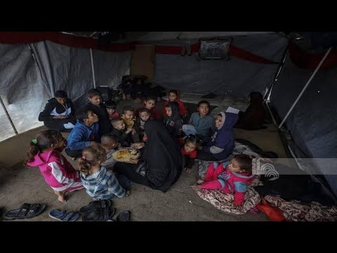 خنساء غزة الجديدة أم ل 5 شهداء وحضن دافئ يحتضن 36 يتيم ا قصة الصمود التي أبكت العالم