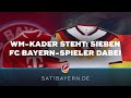 Nagelsmanns Kader steht: Sieben FC Bayern-Spieler fahren zur WM