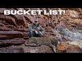 Bucket list huge cat