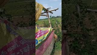 Maa Jee Ki Kutiya-Jal-Jeevan-Hariyali,Medanipur